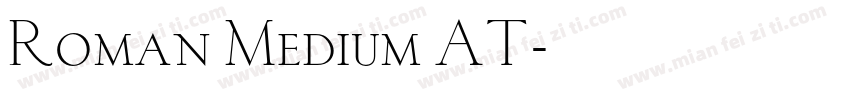 Roman Medium AT字体转换